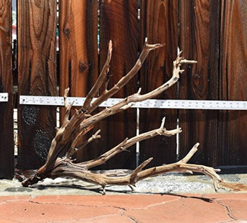 2024 MANZANITA DRIFTWOOD Buy 2 Get 1 FREE Moss Etsy Canada