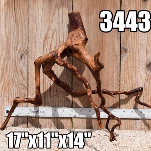 Spiderwood Driftwood aquarium centerpiece WYSIWYG ( moss plant aquarium ) Multiple choices Spiderwood 3443