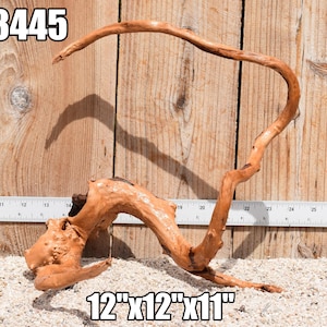 Spiderwood Driftwood aquarium centerpiece WYSIWYG ( moss plant aquarium ) Multiple choices Spiderwood 3445
