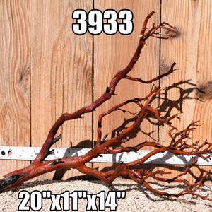 May include: A reddish-brown manzanita branch with multiple twigs, positioned against a ruler showing a length of 20 inches. The text 3933 is visible at the top, and the text 20"x11"x14" is displayed at the bottom of the image.