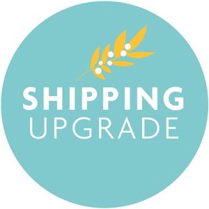 Shipping Upgrade to Royal Mail International Tracked Service