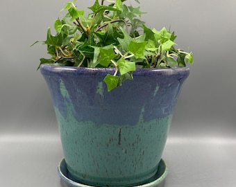 May include: A two-tone ceramic plant pot with a matching saucer. The top half is a deep blue, transitioning to a speckled teal green on the bottom. The pot contains a vibrant green plant with multiple leaves.