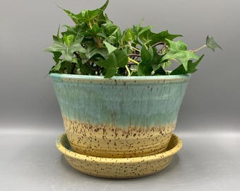 May include: A handmade ceramic plant pot with a light blue upper section and a speckled tan lower section, containing a green plant. The pot sits on a matching saucer. A decorative item for indoor plants.