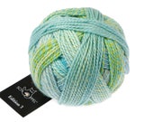 Schoppel Wolle Edition 3 2598 Undertones. Pure Virgin Wool Merino fine Gradient degrade color changing green Sport weight yarn Leise Töne