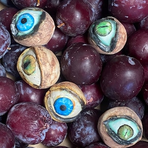 May include: A collection of dark purple plums interspersed with several walnut shells that have been modified to feature realistic, painted eyes. The eyes vary in color, including bright blue irises and green, slit-pupil reptilian-style irises.