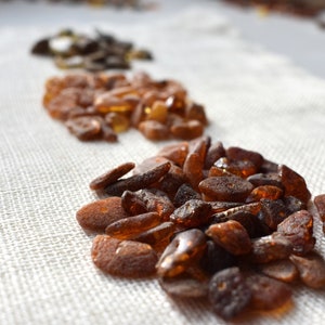 Raw Baltic Amber Beads 8 mm. 50 pcs. Select color