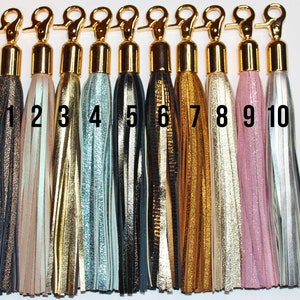 Pu&ograve; includere: Dieci portachiavi a nappa di diversi colori con chiusure dorate. Le nappe sono in pelle e hanno un effetto metallizzato. Le nappe sono numerate da 1 a 10.