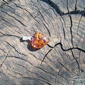 May include: A heart-shaped amber pendant with inclusions, set on a silver chain, resting on a weathered tree stump.