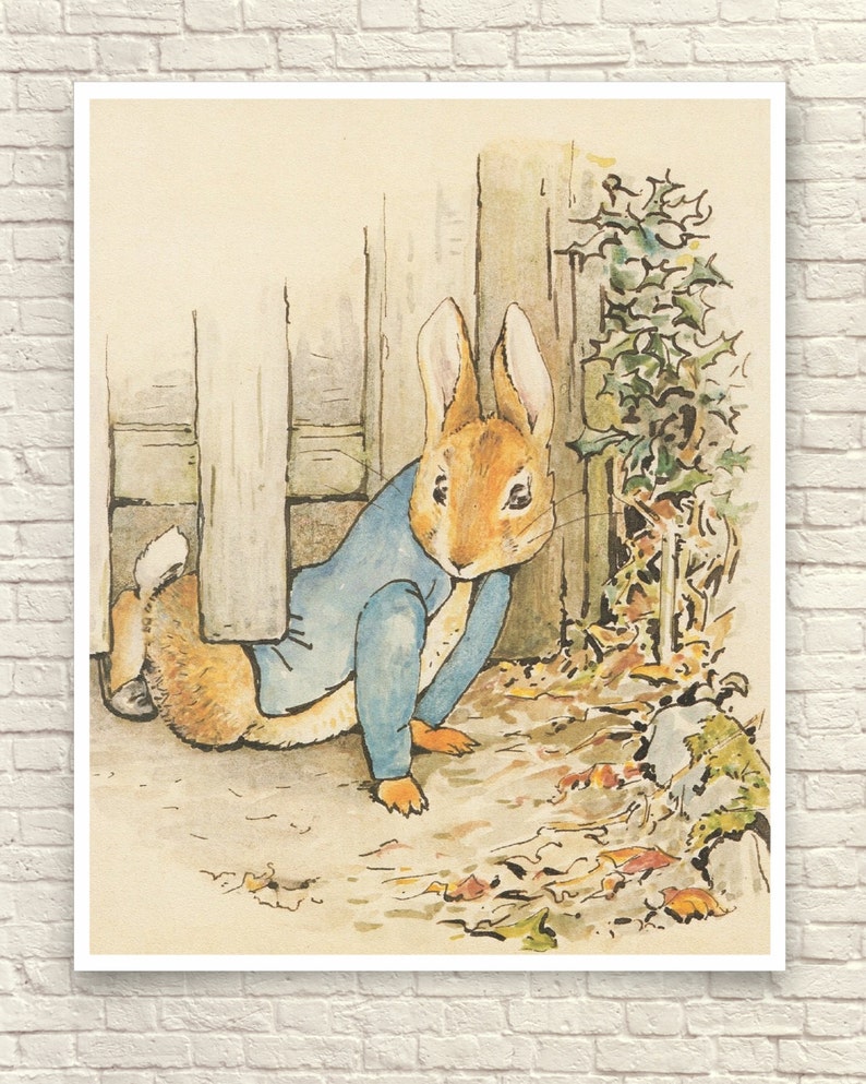 beatrix potter drawings beatrix potter drawings
