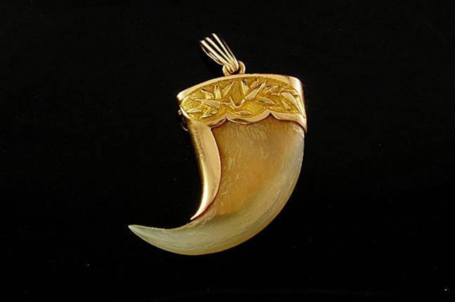 3. Gold Tiger Claw Pendant - wide 8