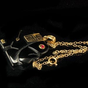 Könnte beinhalten: Eine schwarze Anhängerhalskette mit einer goldenen Kette. Der Anhänger hat die Form eines stilisierten Fisches mit goldenen Akzenten, einem roten Edelstein und einem kleinen Schlüssel. Die Halskette befindet sich vor einem schwarzen Hintergrund.