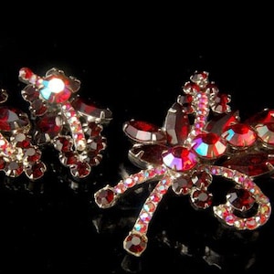Op de afbeelding: Een set rode strass oorbellen en een broche. De oorbellen zijn gevormd als een tros bladeren en de broche is gevormd als een strik. De strass steentjes zijn iriserend en glinsteren in het licht.
