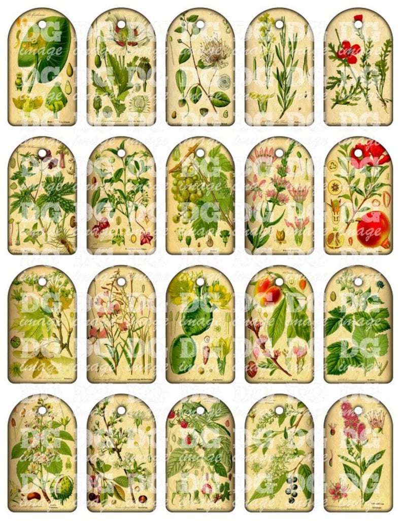 Digital Collage Sheet Instant Download Vintage Botanical Berries tags Printable gift tags Sheet 113 Jewelry holders