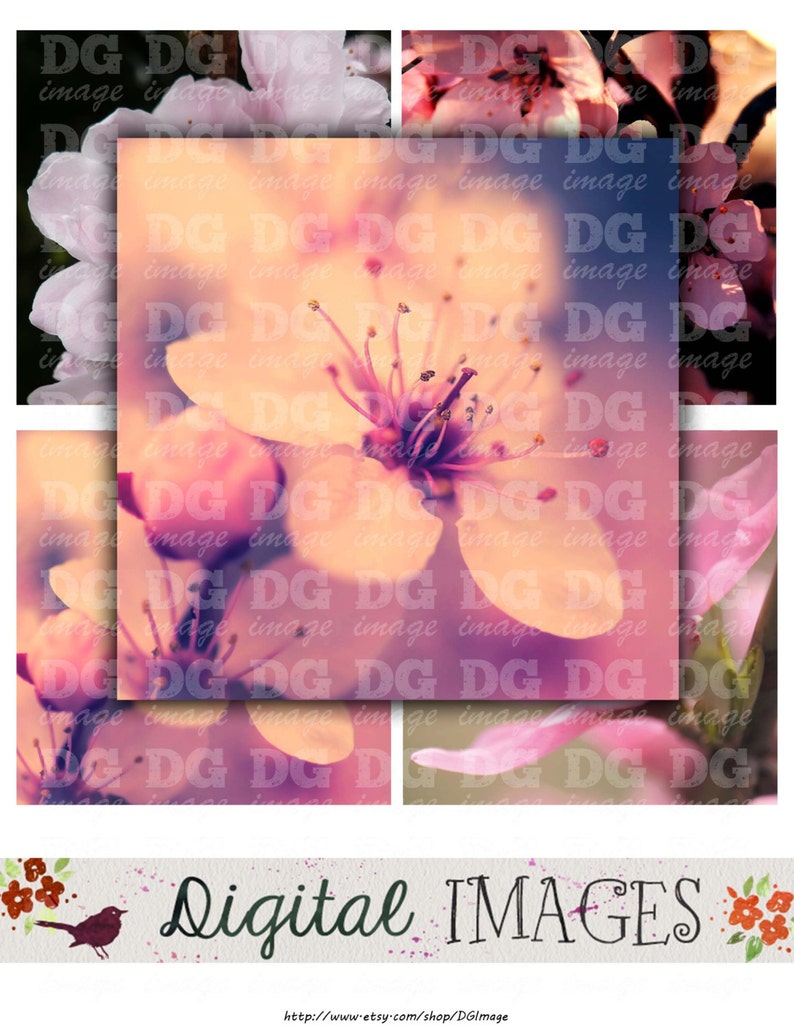 Instant Download Stickers Blooming Sakura 4x4 inch tiles Digital Collage Sheet for Coasters Magnets Greeting Cards Scrapbooking