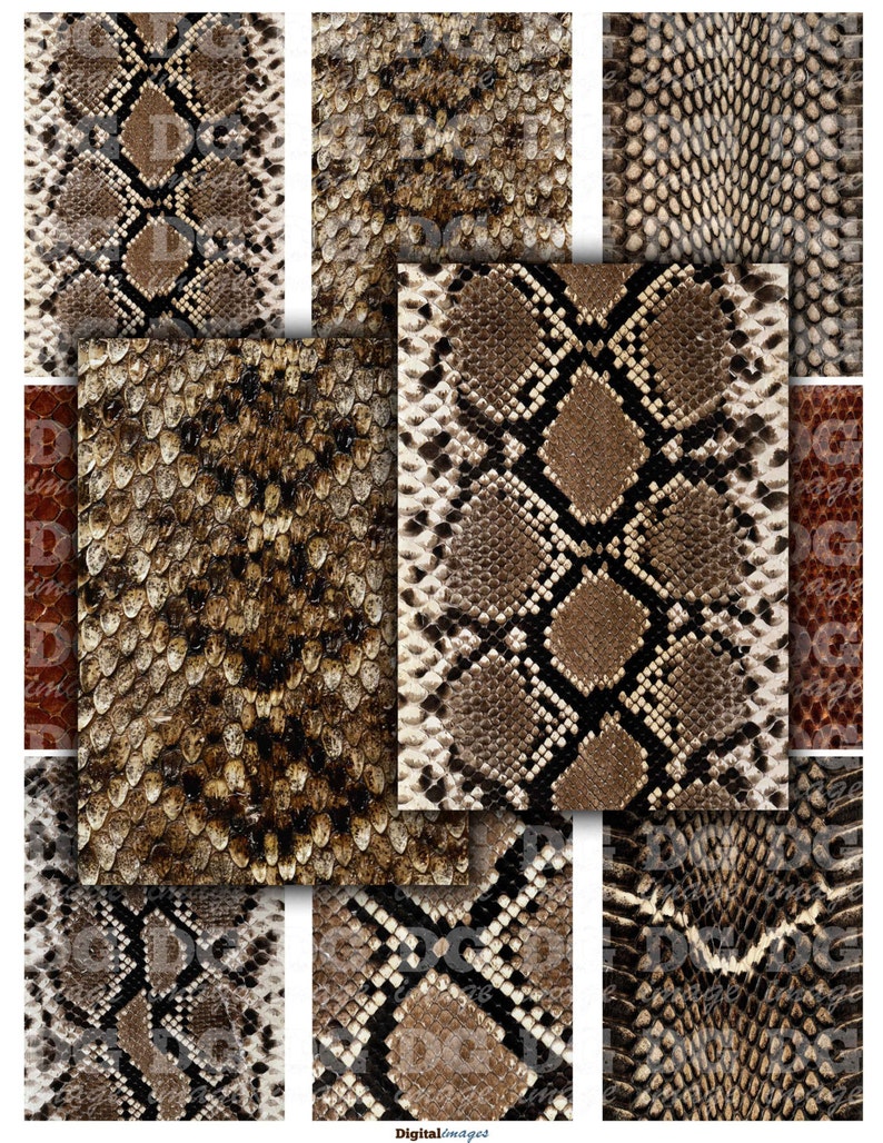 Reptiles Skin Leather 2.5 x 3.5 ACEO ATC Background Printable Etsy