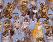Flannel Fabric - Cats on Gray - By the Yard - 100% Cotton Flannel
