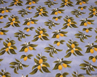 Flannel Fabric - Kumquats on Blue - By the yard - 100% Cotton Flannel