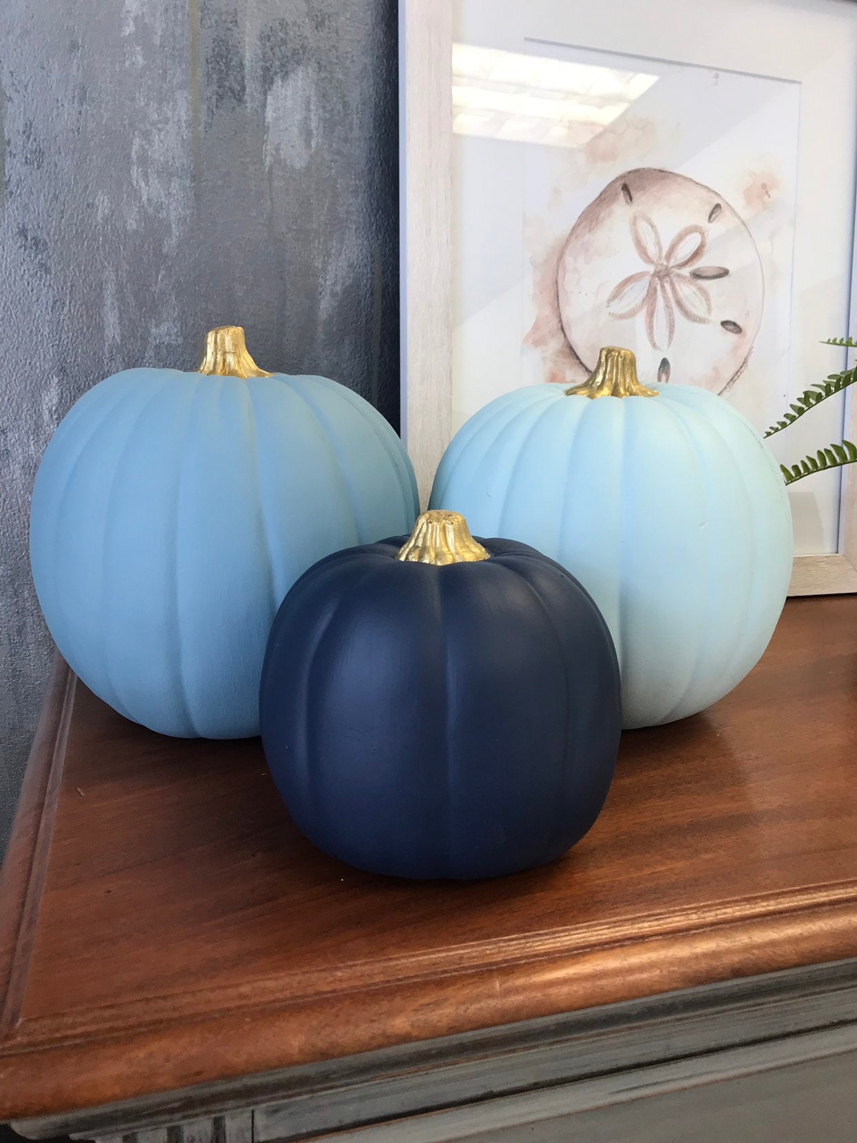 Medium Fancy Navy Blue Pumpkin Nautical Coastal Beach Etsy