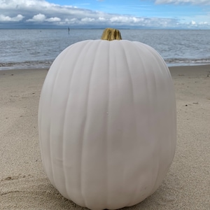 May include: A matte white pumpkin with a metallic gold stem. The pumpkin features deep vertical ridges and a smooth, rounded shape. It is positioned upright, showcasing its uniform color and the distinct contrast between the white body and the gold top.
