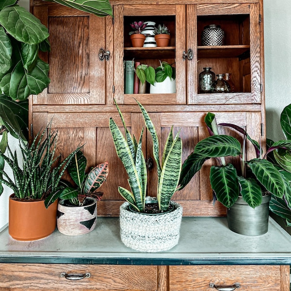 Handmade Plant Basket