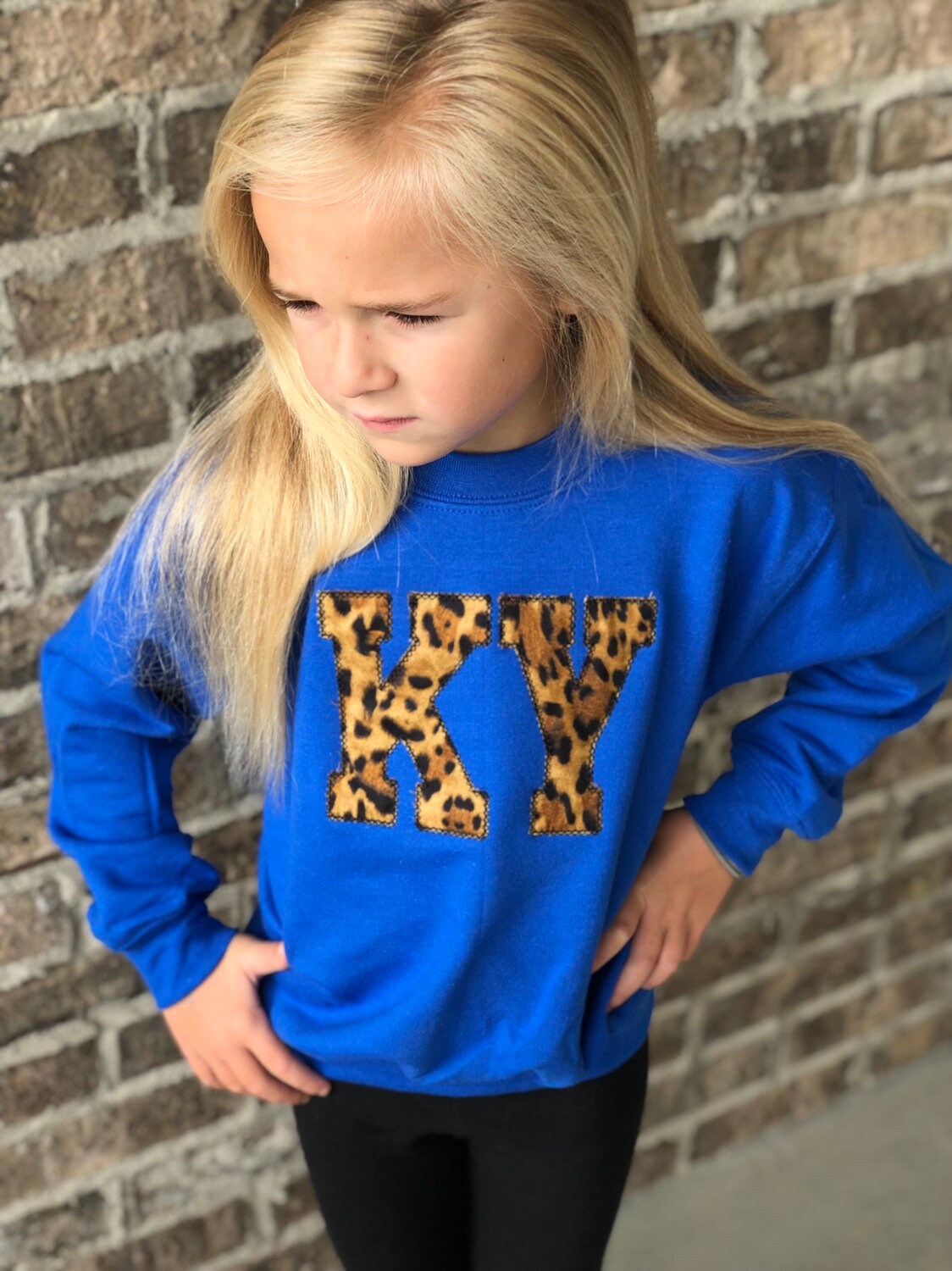 Kentucky sweatshirt, Adult, Youth, Toddler UK sweatshirt, CATS, Ky sw…
