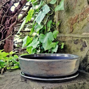 Maceta redonda de gres hecha a mano de 23 cm (9 pulgadas) para bonsáis o suculentas, con plato antigoteo, en color verde liquen y esmalte piedra.