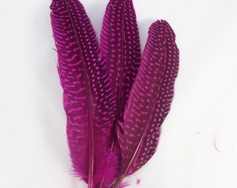 10 pc's x 20cm Magenta Guinea Spotted Feathers