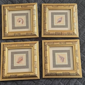 May include: Four square wall frames with textured gold metallic borders. Each frame contains a centered illustration of a different seashell on a light background, surrounded by a gray mat and a decorative white border with small dot details.