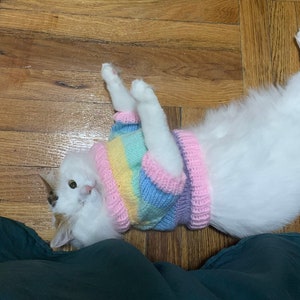 Rainbow Cat Sweater Knitting Pattern - Printable PDF