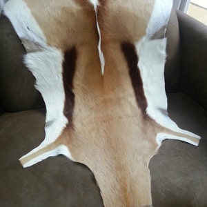 Stunning MEDIUM/LARGE springbok rug throw skin pelt hide