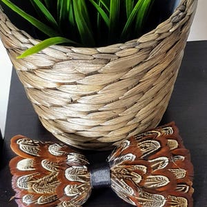 Pheasant feather BOW TIE