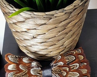 Pluma de faisán BOW TIE