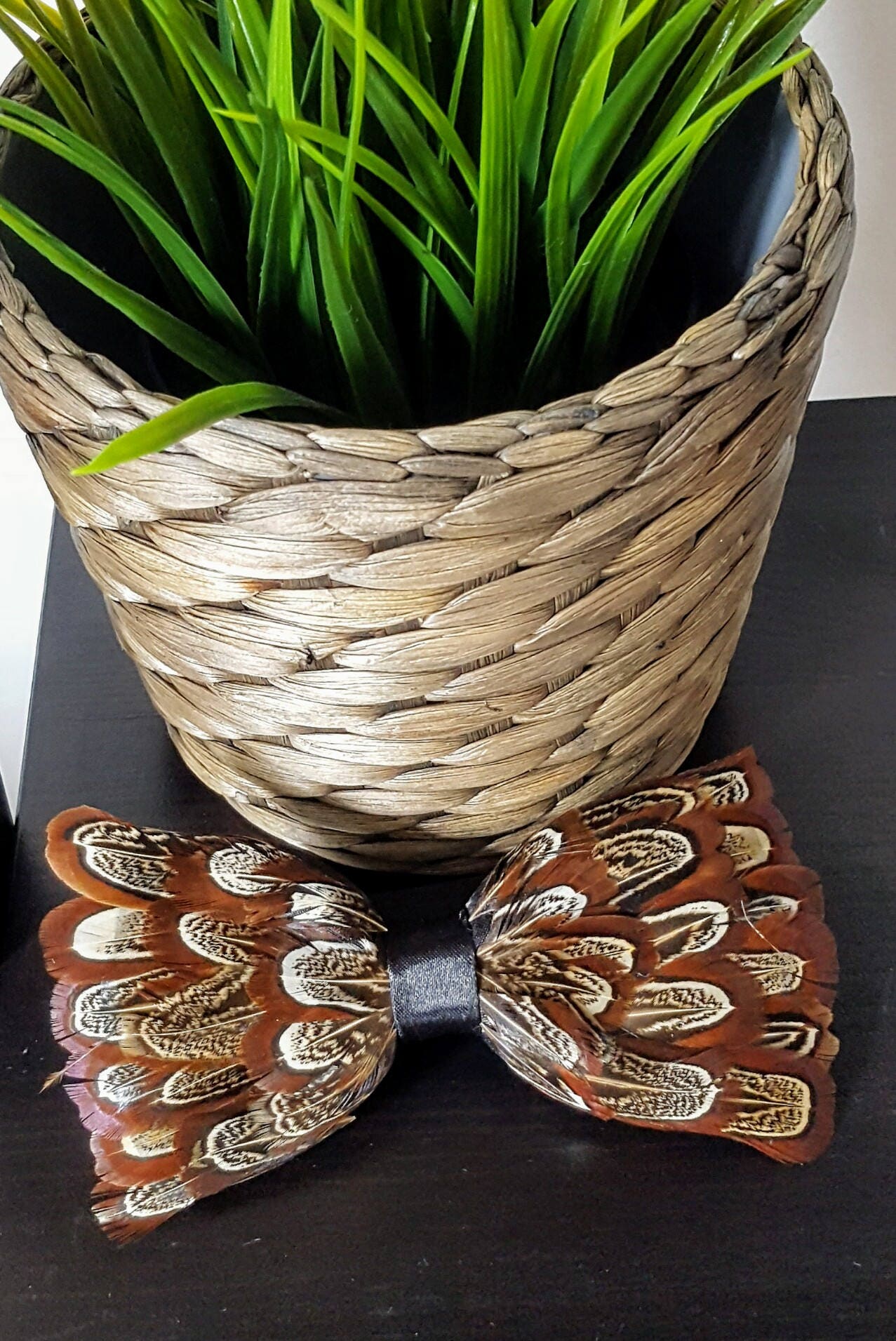 Image of Pheasant Feather Bow Tie
