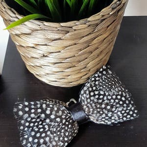 Guinea fowl feather wedding thanksgiving BOW TIE