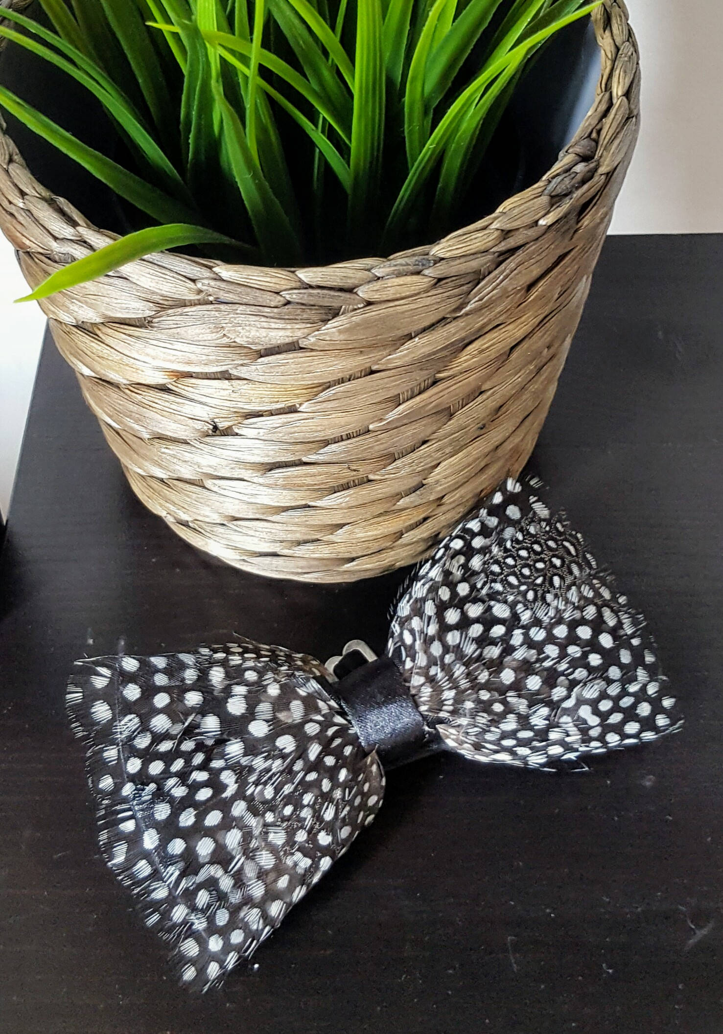 Image of Guinea Fowl Feather Wedding Thanksgiving Bow Tie