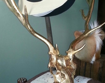 May include: A gold-painted deer skull with antlers mounted on a wooden stand. A white straw hat with a black band sits on top of the stand. The skull is resting on a brown and white cowhide pillow.