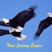 Inhaber:in von <a href='https://www.etsy.com/de/shop/ThreeSoaringEagles?ref=l2-about-shopname&from_page=listing' class='wt-text-link'>ThreeSoaringEagles</a>