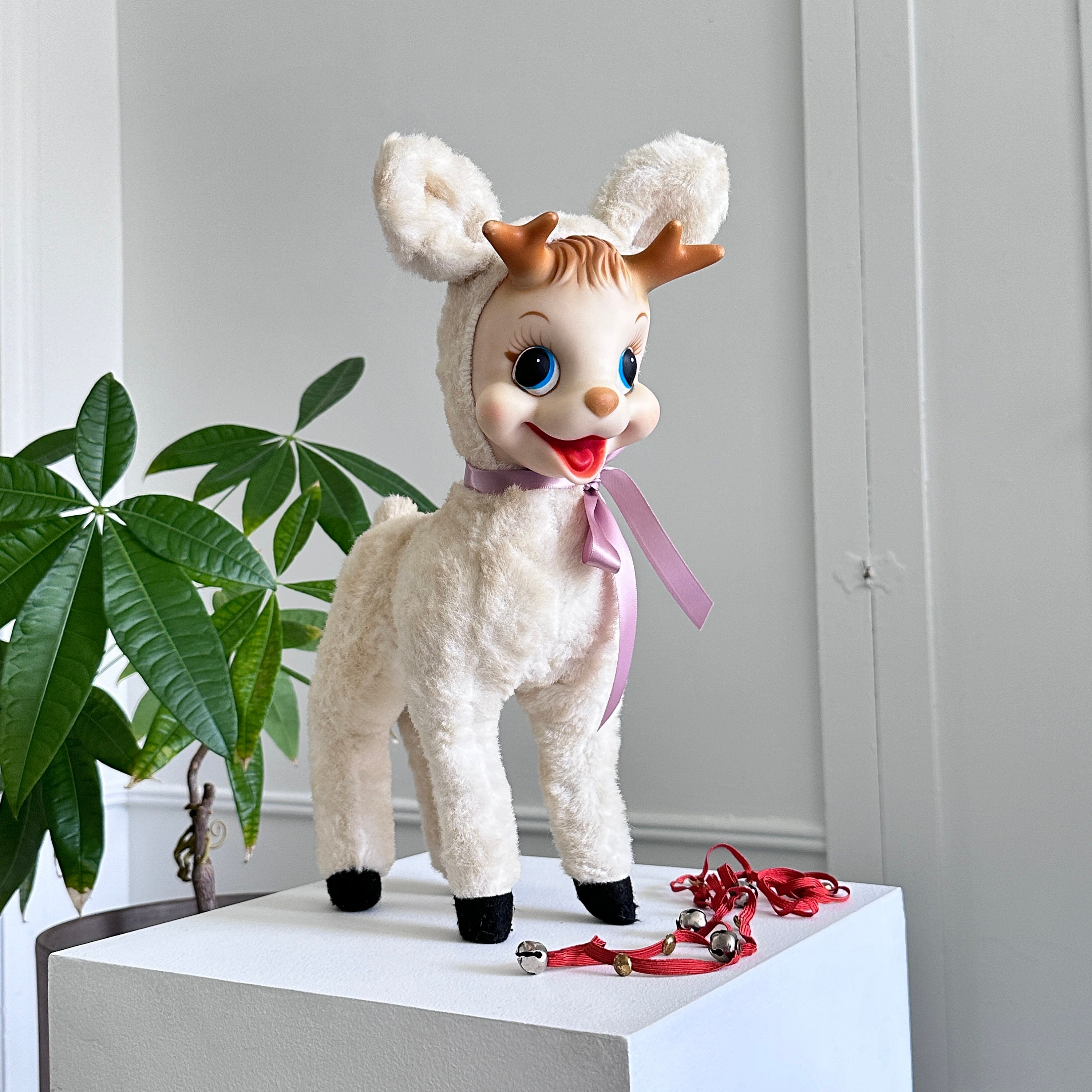 ラシュトン ラバーフェイス Rushton Star Creation