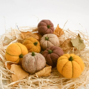 Set of 7 needle felted pumpkins, Thanksgiving decor,  Halloween home gift
