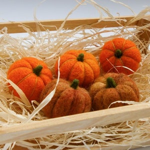 Set of five felted mini pumpkins, Primitive fall decor, Thanksgiving table and shelf decorations, Halloween orange party image 5
