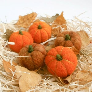 Könnte beinhalten: Eine Gruppe von sechs kleinen, handgefilzten Kürbissen in Orange- und Brauntönen. Die Kürbisse sind in einem Nest aus Stroh und Herbstlaub angeordnet.