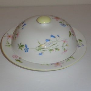 Shelley Wild Anemone Covered Butter Dish/Cheese Dish Pattern 14163 Fine Bone China, Made in England Free Standard Shipping in the U.S.A.