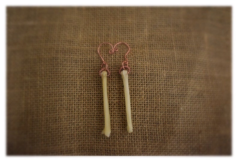 Authentic Coyote Bone Ear Weight Set