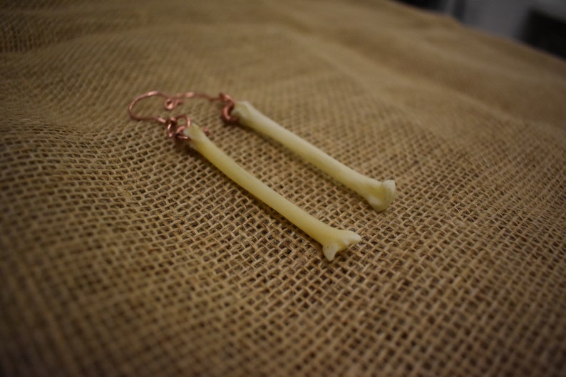 Authentic Coyote Bone Ear Weight Set