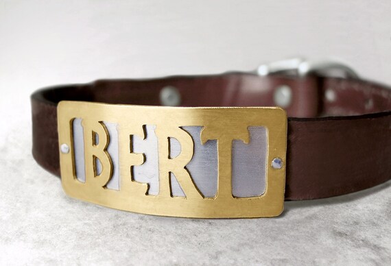 leather dog collar with metal nameplate