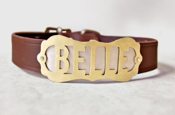 leather dog collar with metal nameplate