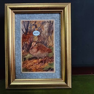 Woodcock bird with thought bubble painting. Postcard art. Gothic decor