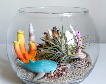 Tropical Reef Terrarium Kit