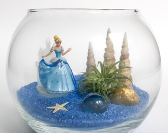 The Oxxo Disney Series: Cinderella Terrarium Kit
