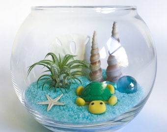 Happy Honu Terrarium Kit
